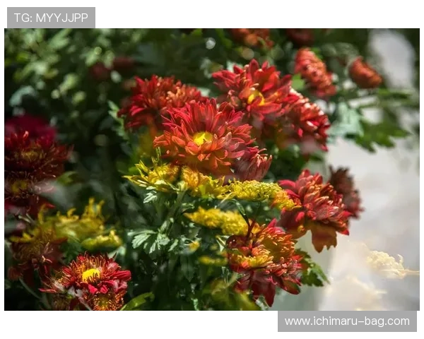 励宫娱乐场：体验最精彩的线上娱乐盛宴，尽享无限欢乐与刺激