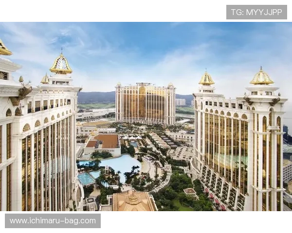 澳门银河手机版会员登录常见问题及解决方案全面解析帮助玩家轻松应对登录中的各种困扰