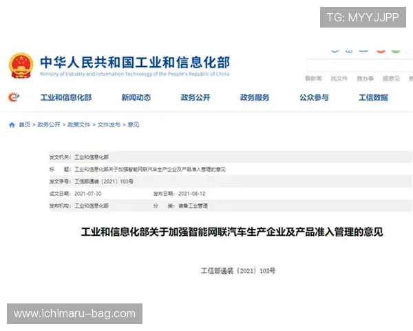 如何选择优质六合彩备用网址，保障个人信息安全与资金安全