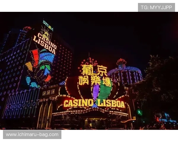 澳门10亿赌博背后隐藏的黑色产业链，揭示非法赌博的运作模式