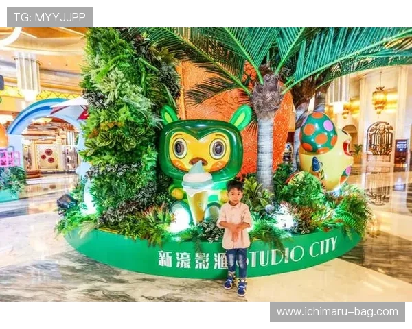 澳门新濠天地官网会员制度详解，尊享专属优惠与VIP服务